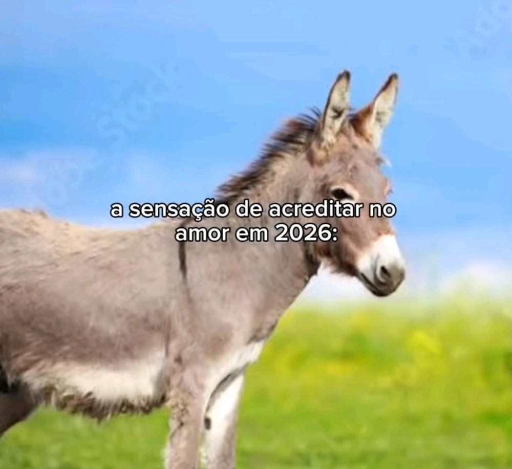 GIF enviado por Vitória