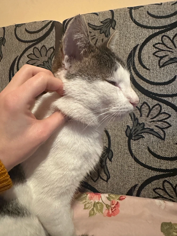 GIF uploaded by Valentina