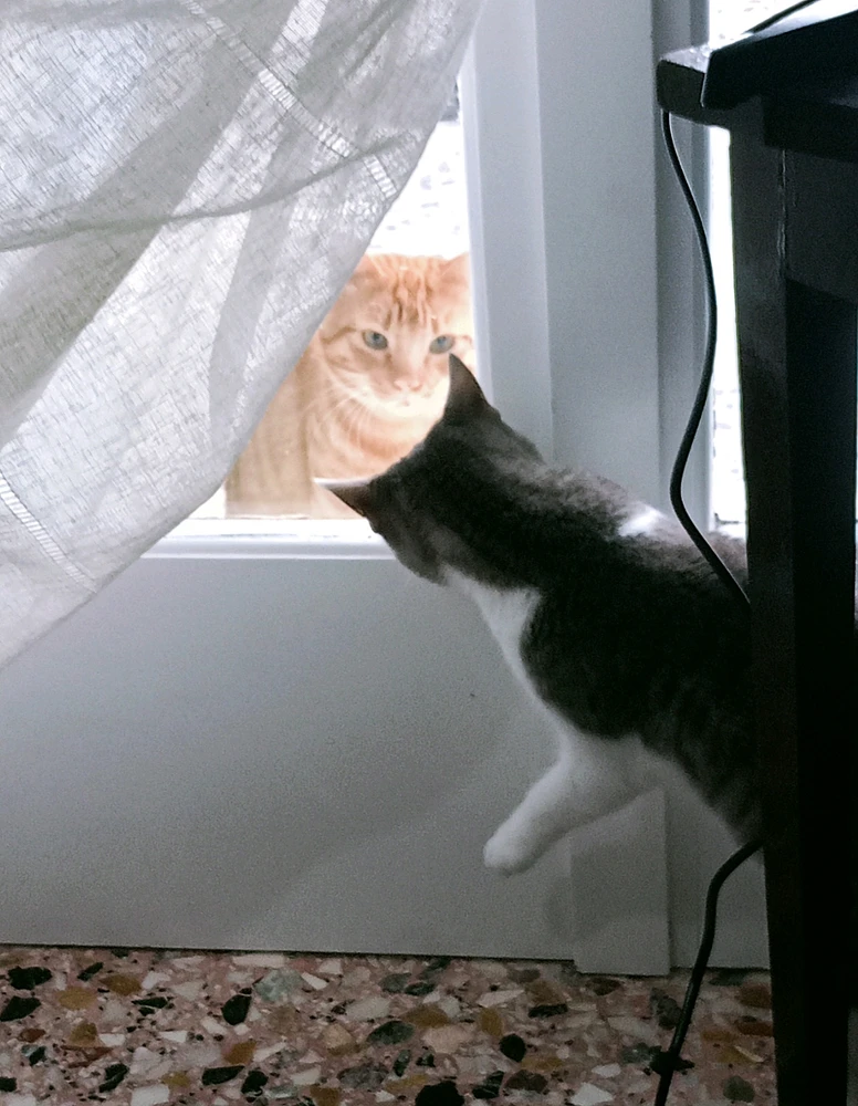 GIF uploaded by MaryTos