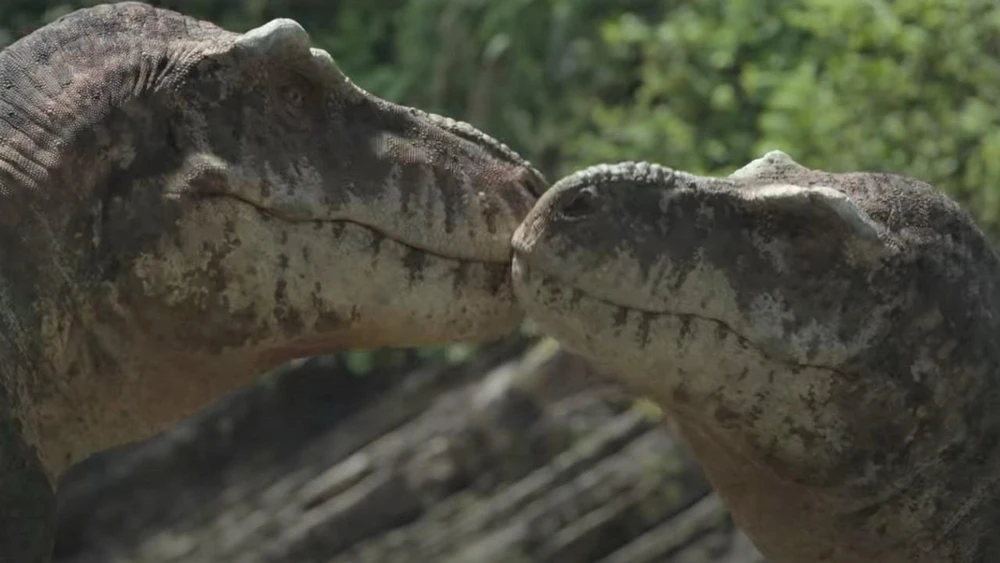 Image uploaded by William