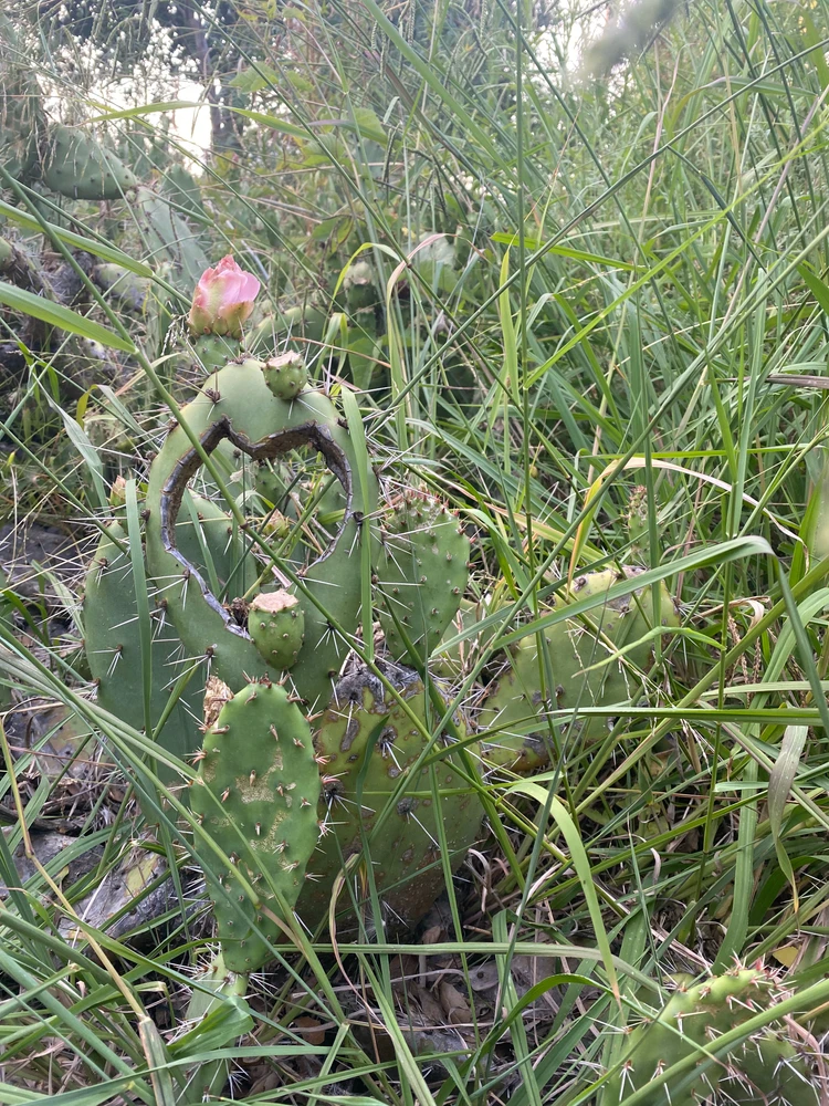 GIF uploaded by Audrey