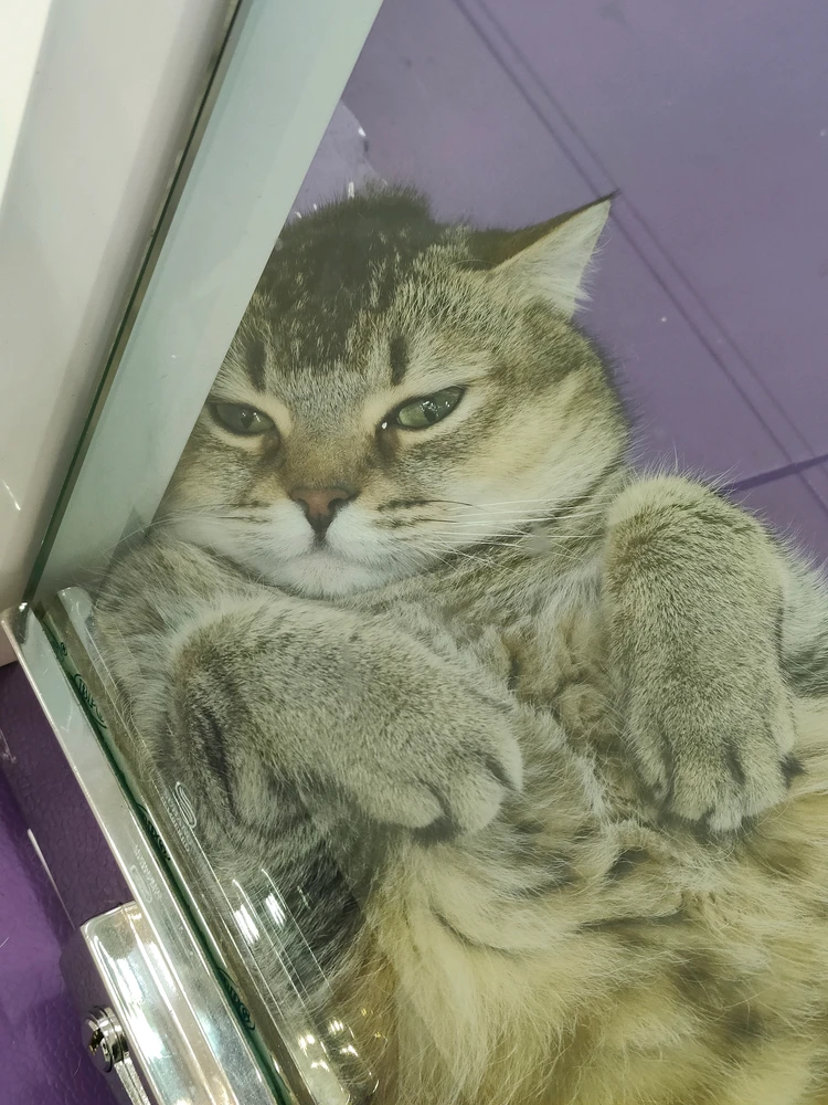 GIF uploaded by Ahmadz