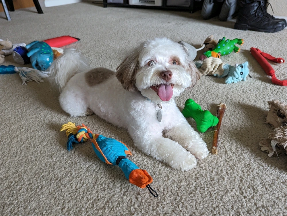 Image uploaded by Christopher Brown