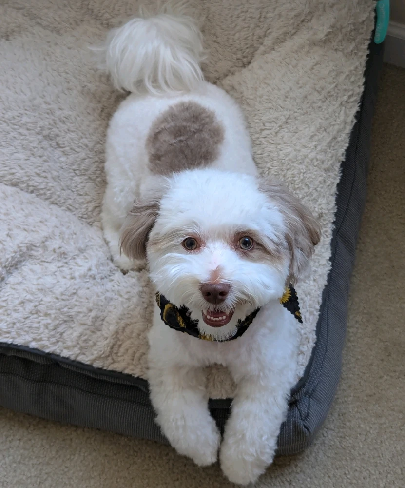 Image uploaded by Christopher Brown