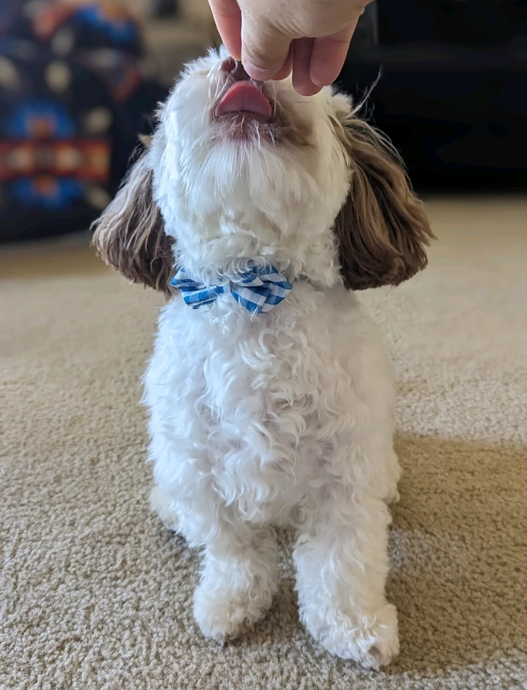 Image uploaded by Christopher Brown