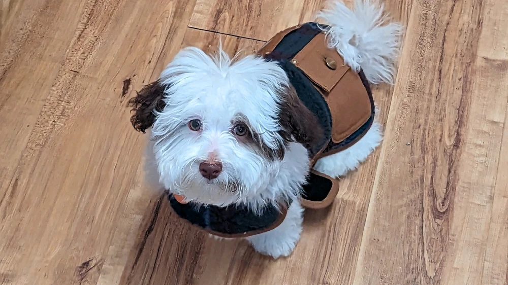 Image uploaded by Christopher Brown