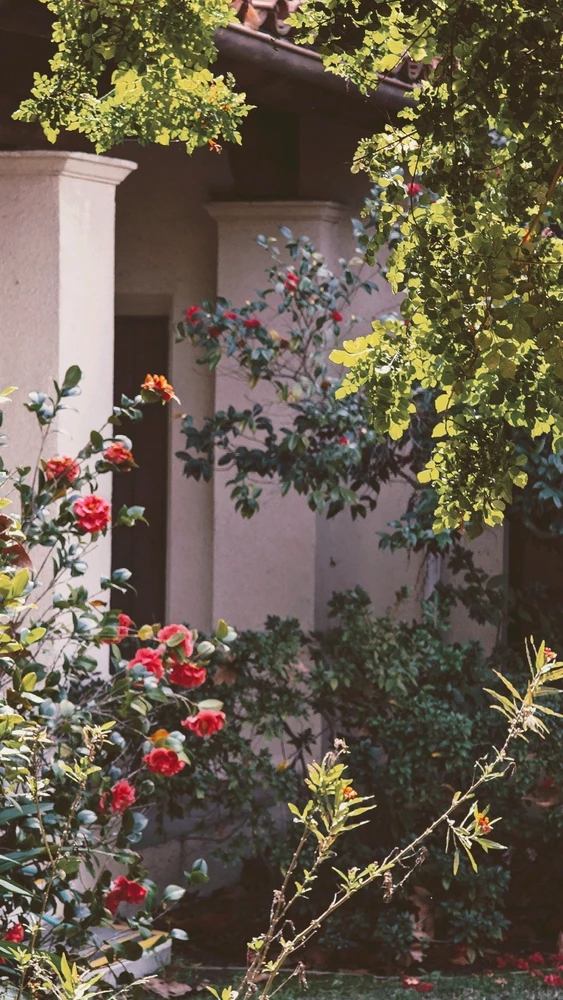 Gambar diunggah dening William