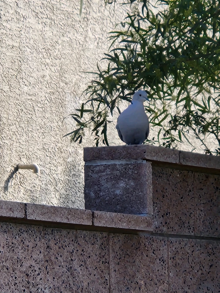 GIF uploaded by Damiraco