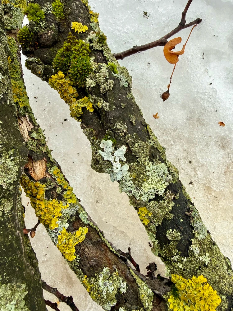 Image uploaded by Alena