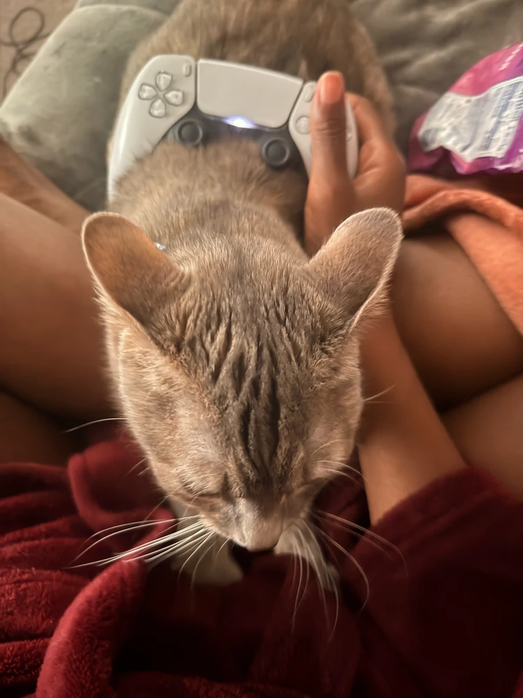 Image uploaded by GoldenChibi