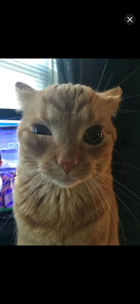 GIF uploaded by Nurik