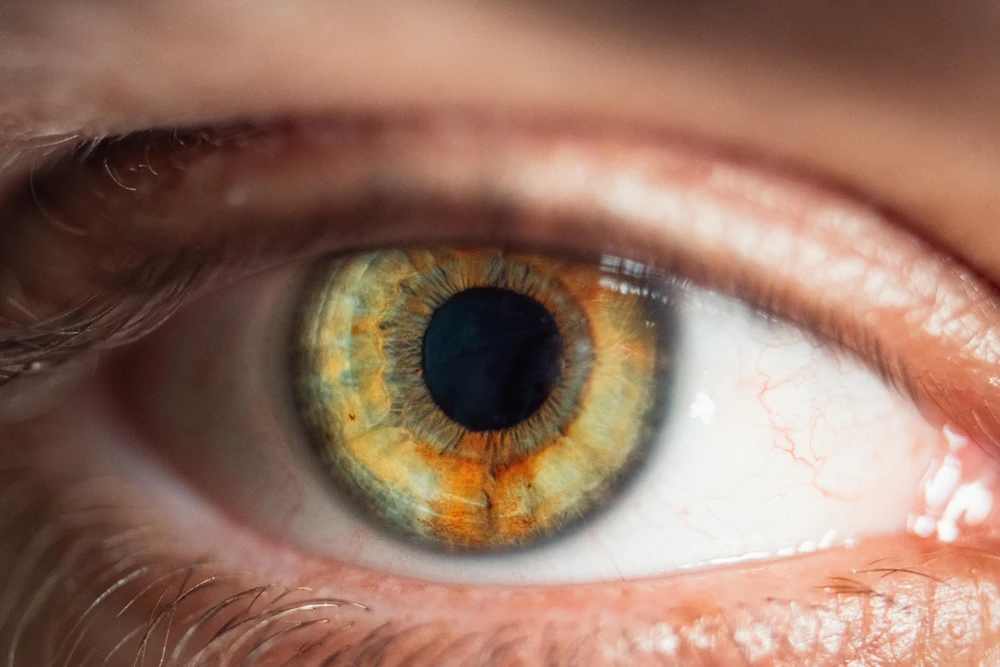 GIF uploaded by Ayberk