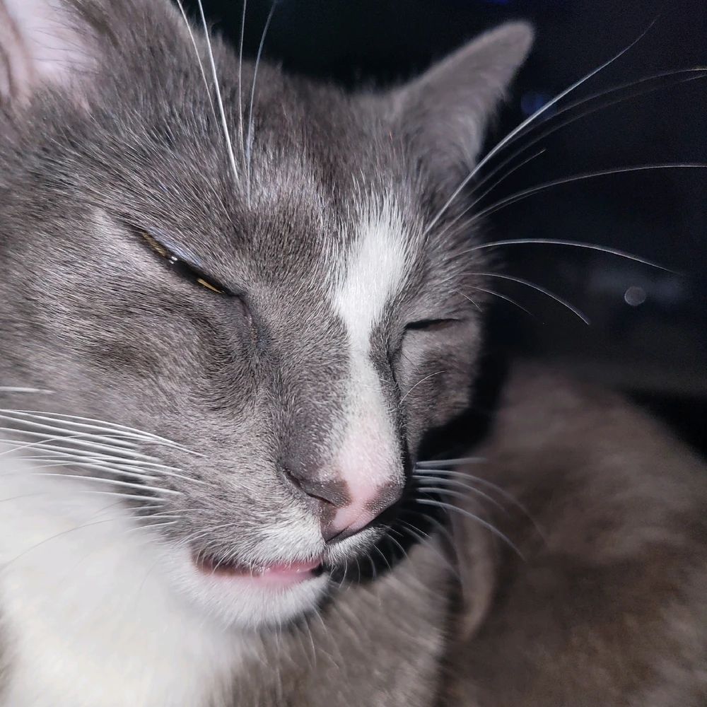 GIF uploaded by Tyler