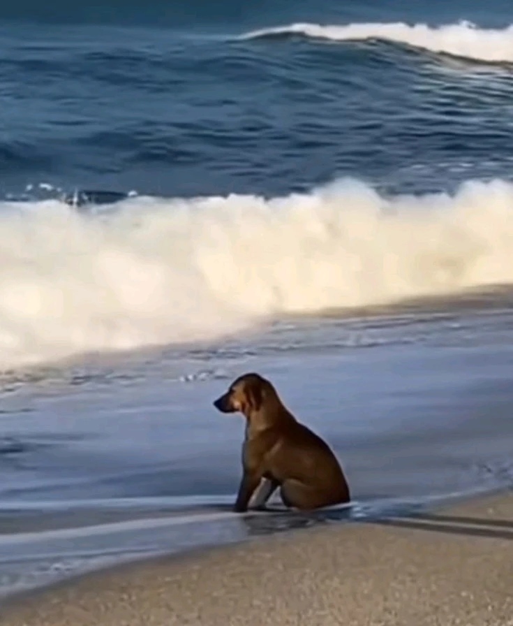 GIF enviado por Lara