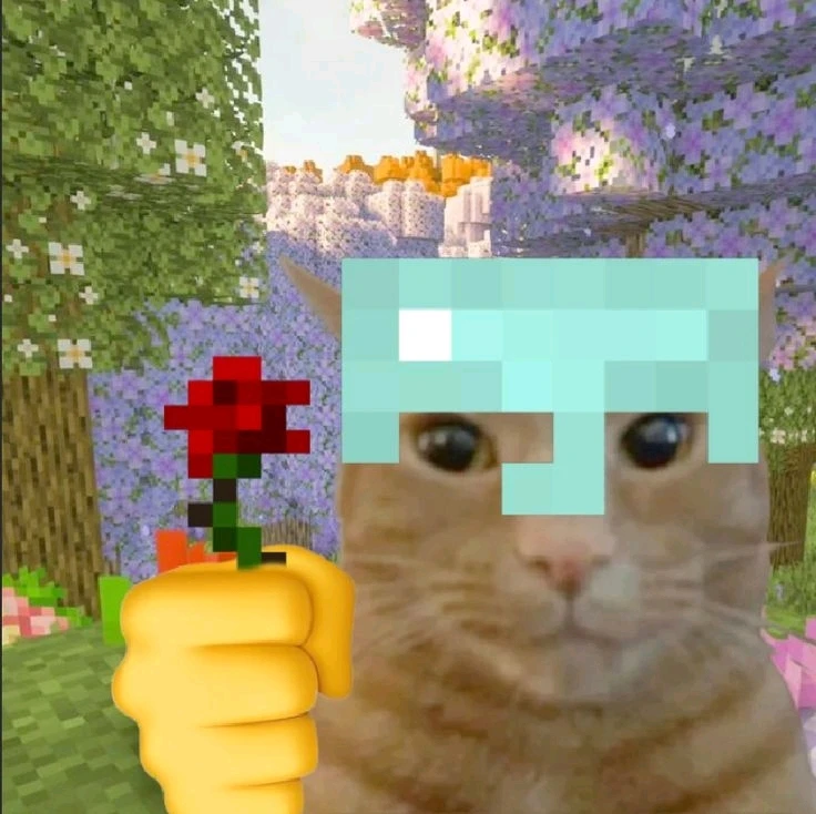 Imagen subida por Zafiro