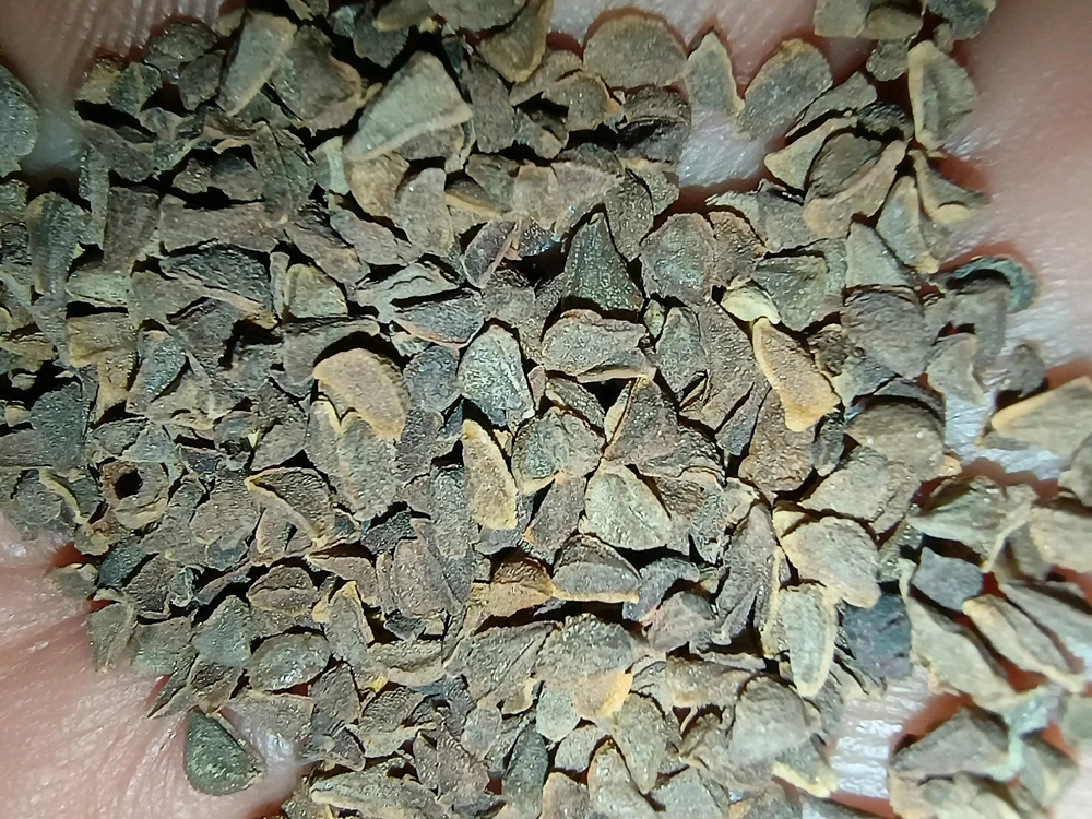 GIF uploaded by Theo