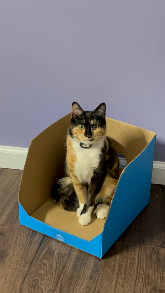 Image uploaded by Soondas