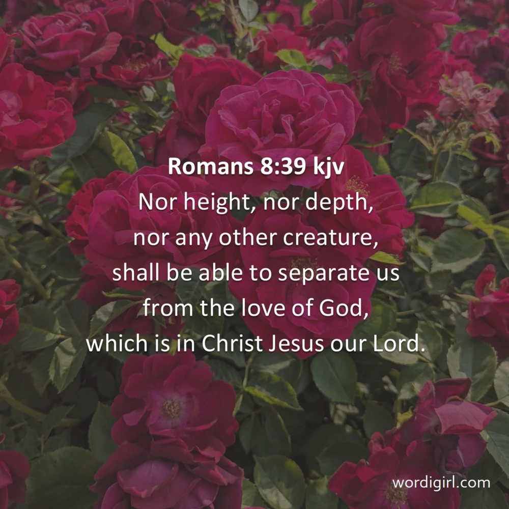 GIF uploaded by Ossandra