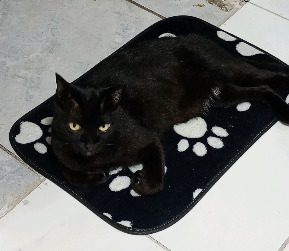 GIF uploaded by Nivea