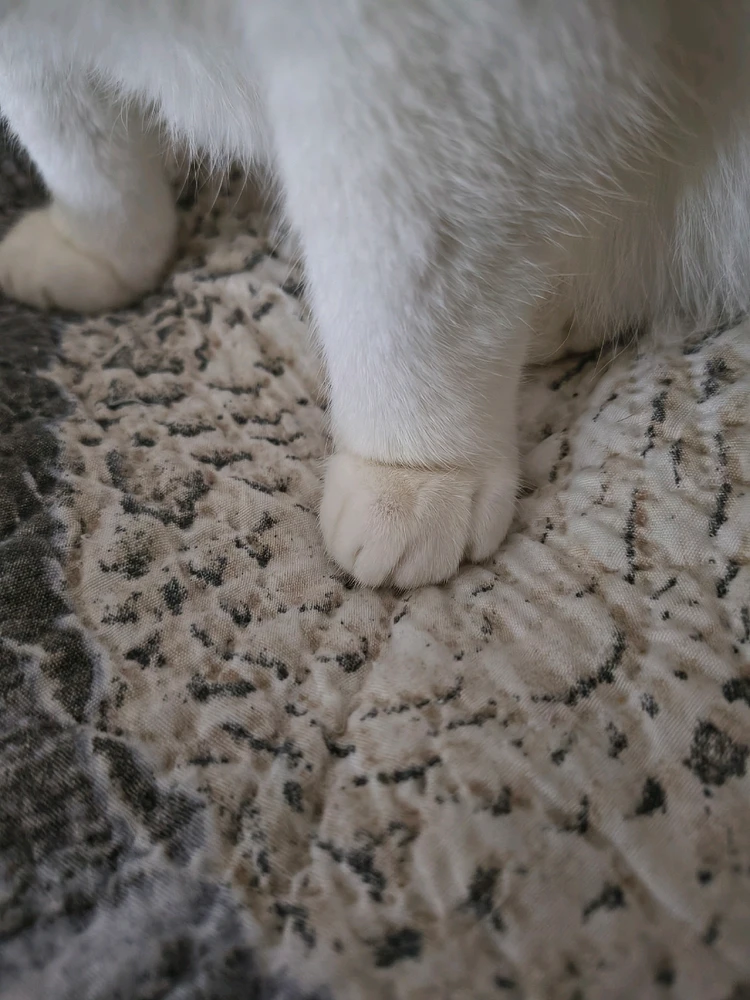 GIF caricata da Elvira