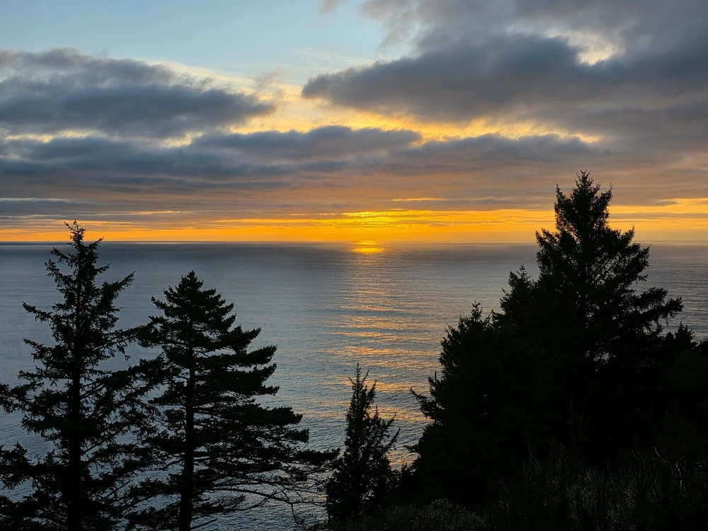 GIF uploaded by Almee