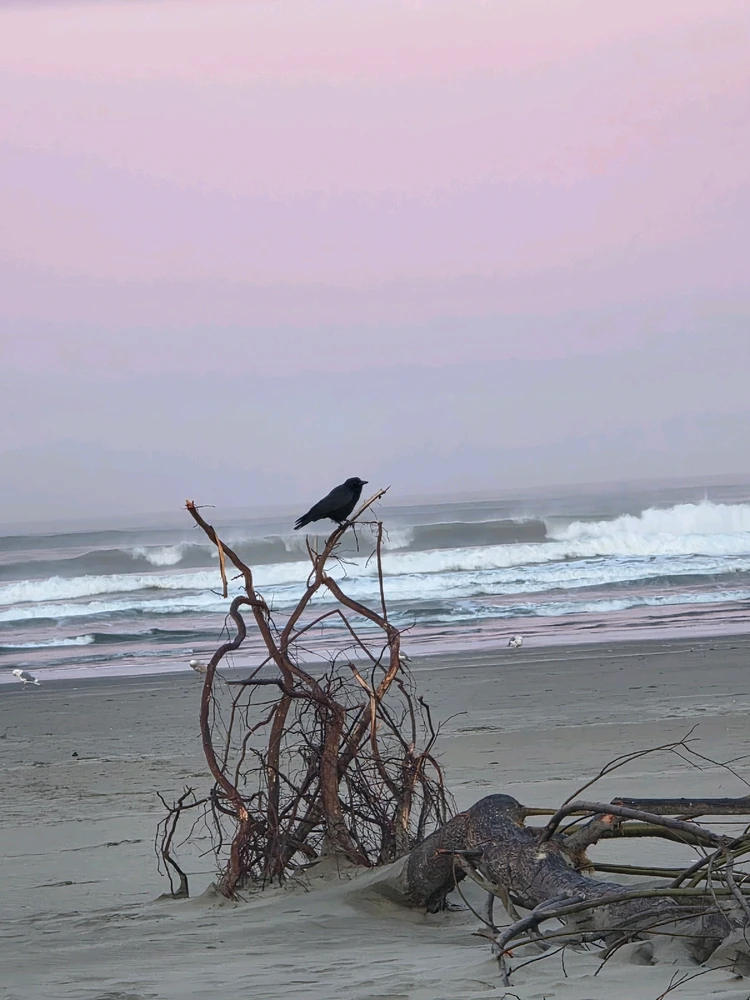 GIF uploaded by Almee