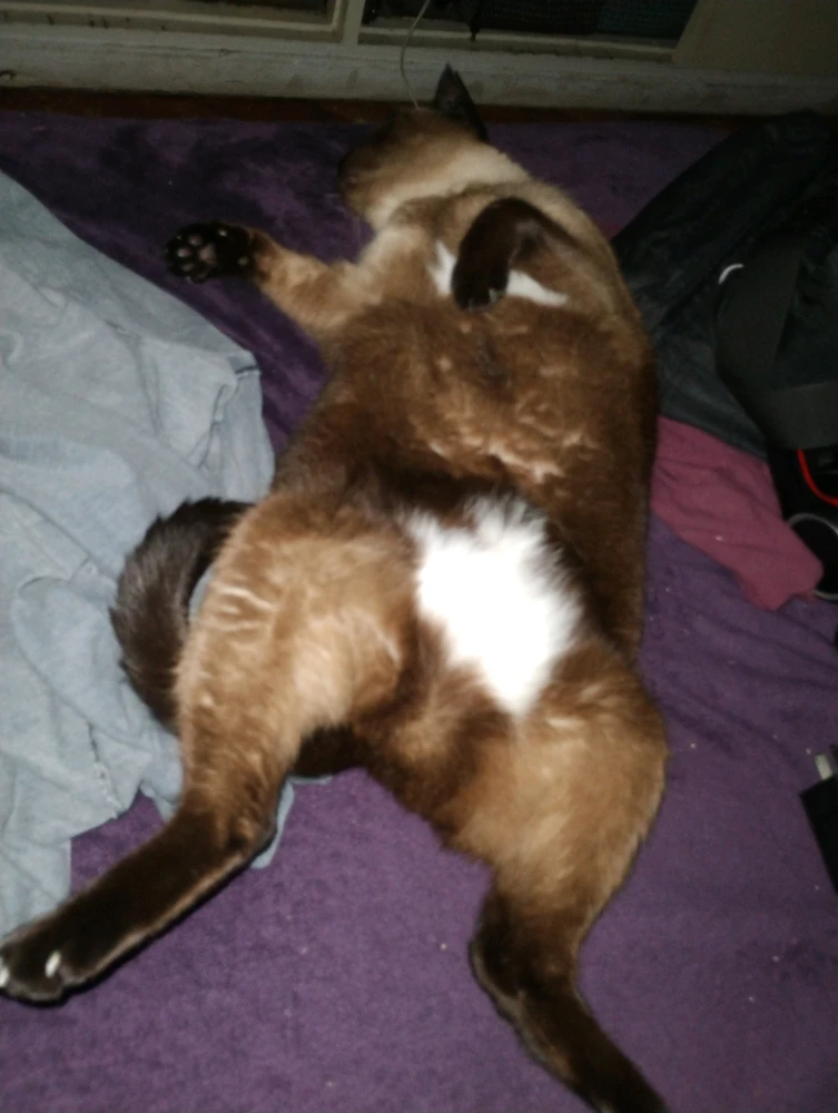 GIF subido por Vanesa