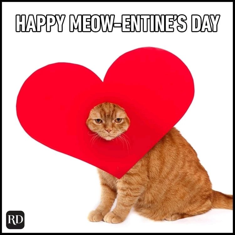 GIF uploaded by Carla