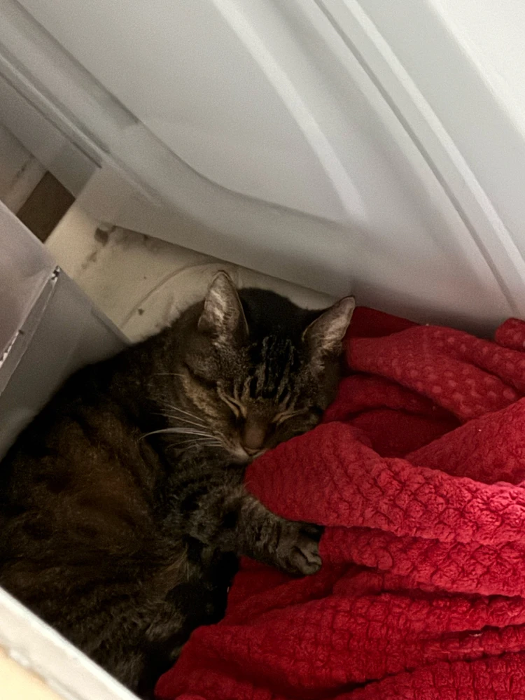 Image uploaded by Bo