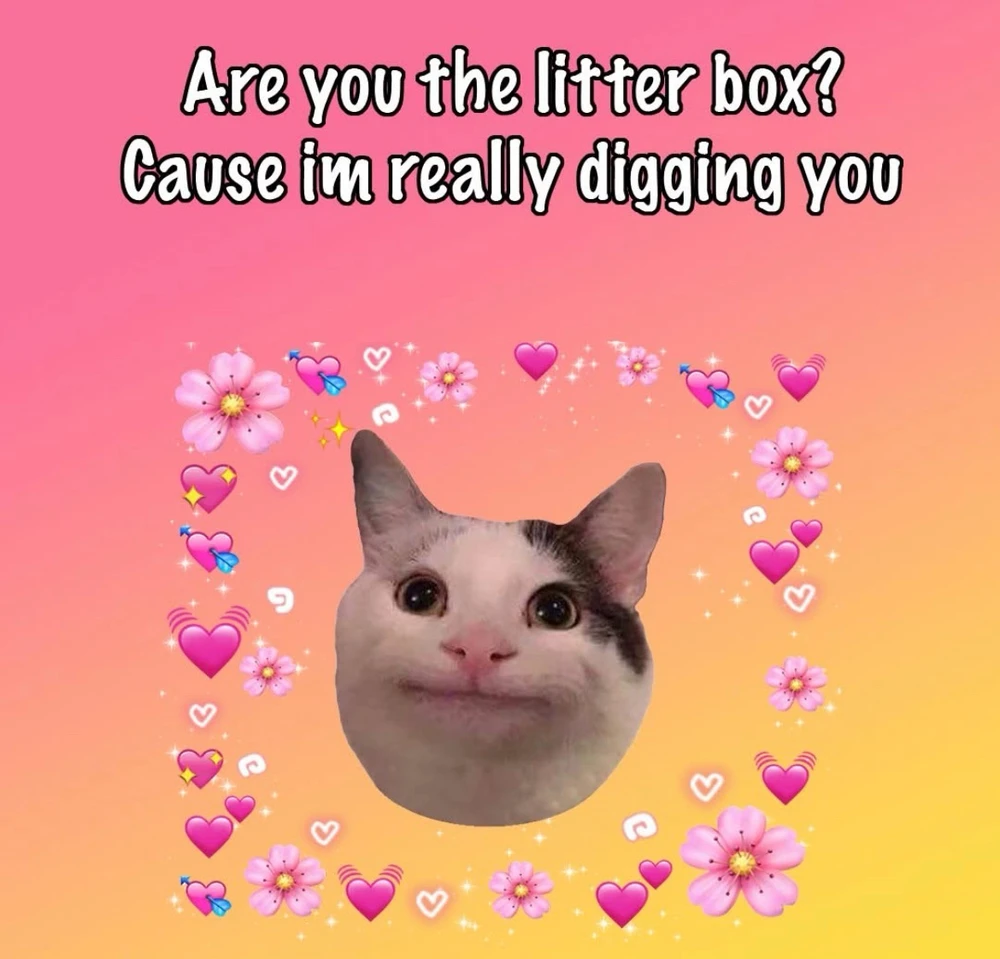 GIF uploaded by bellissima