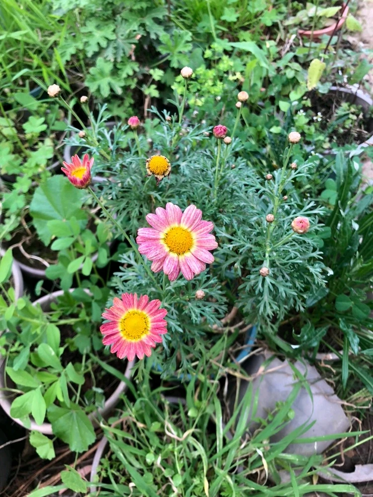 Image uploaded by RM