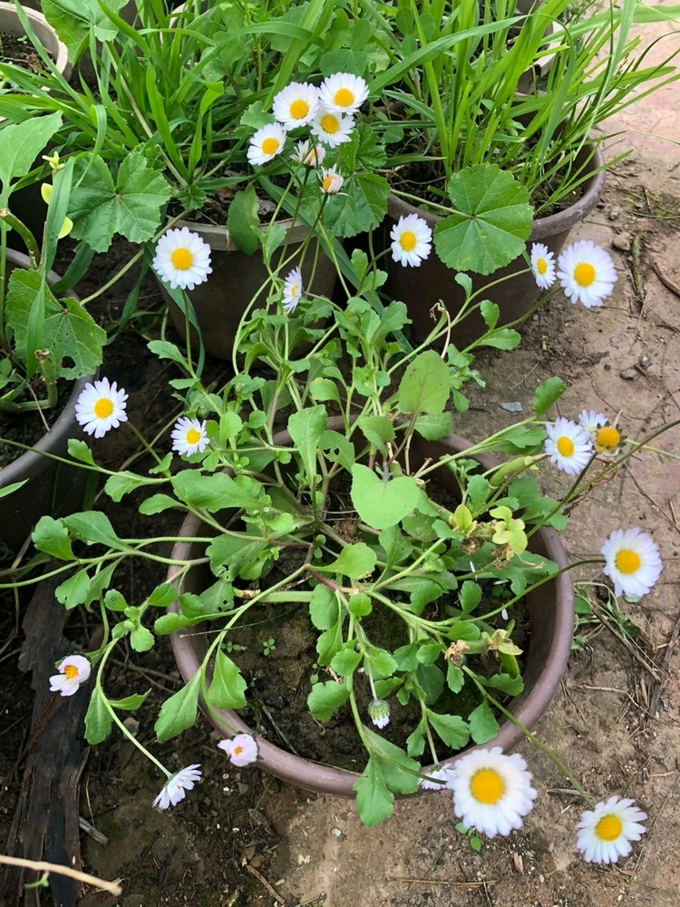 Image uploaded by RM