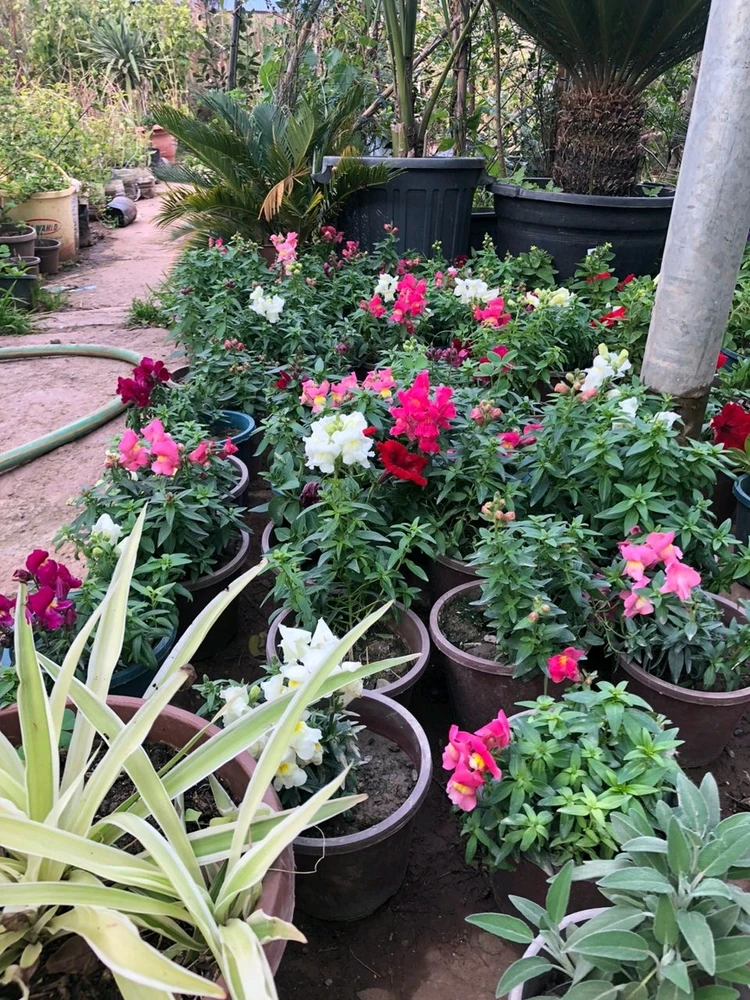 Image uploaded by RM