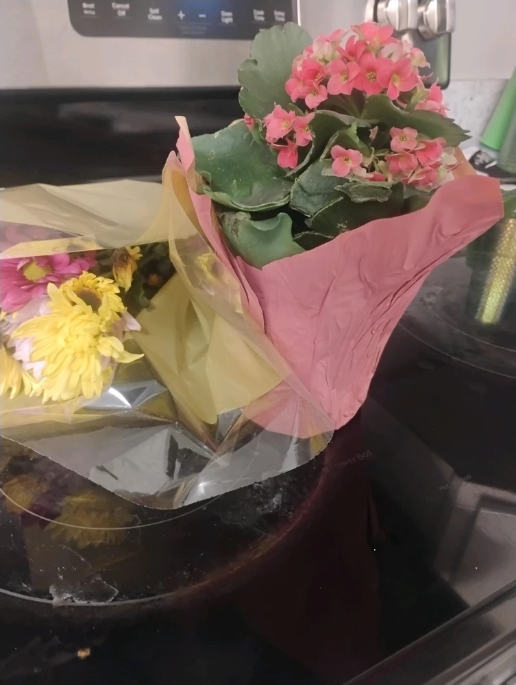 Image uploaded by Grace