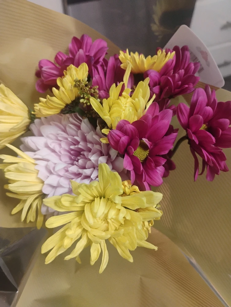 Image uploaded by Grace