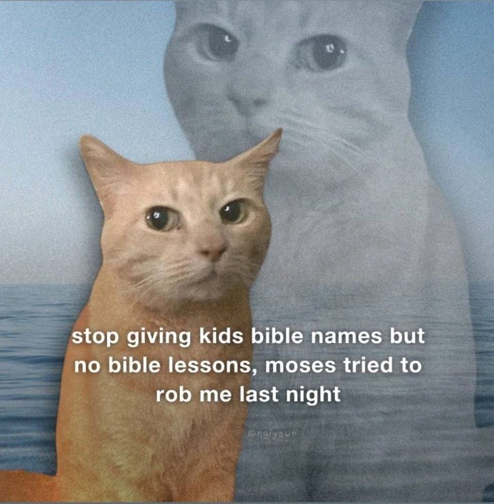 GIF uploaded by Gorgona