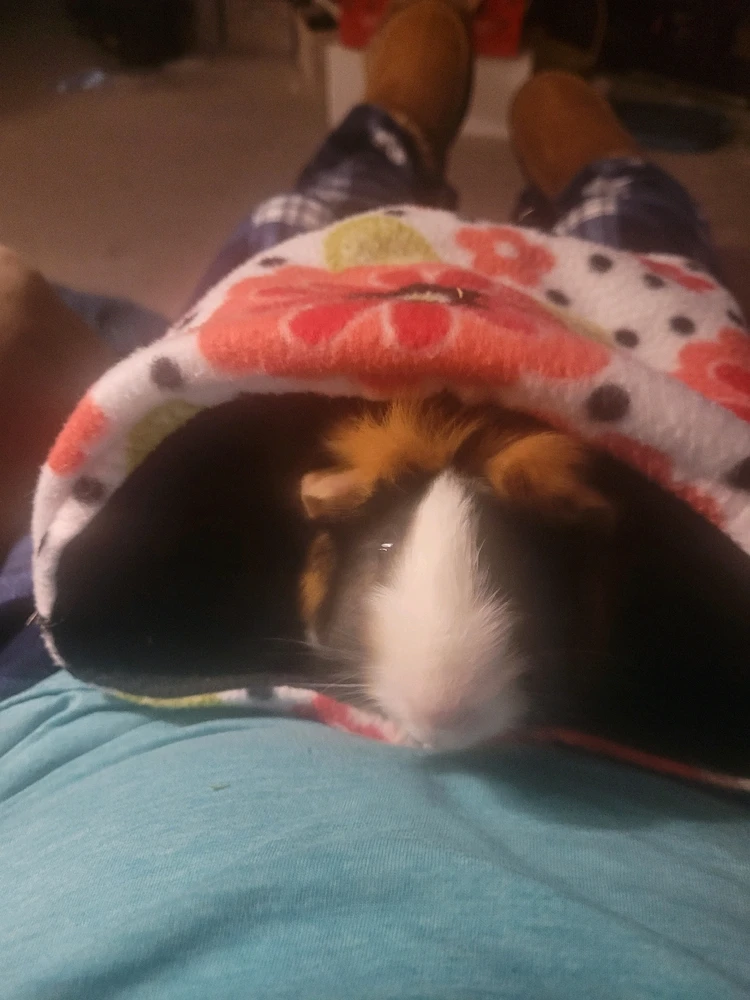 Image uploaded by Dan