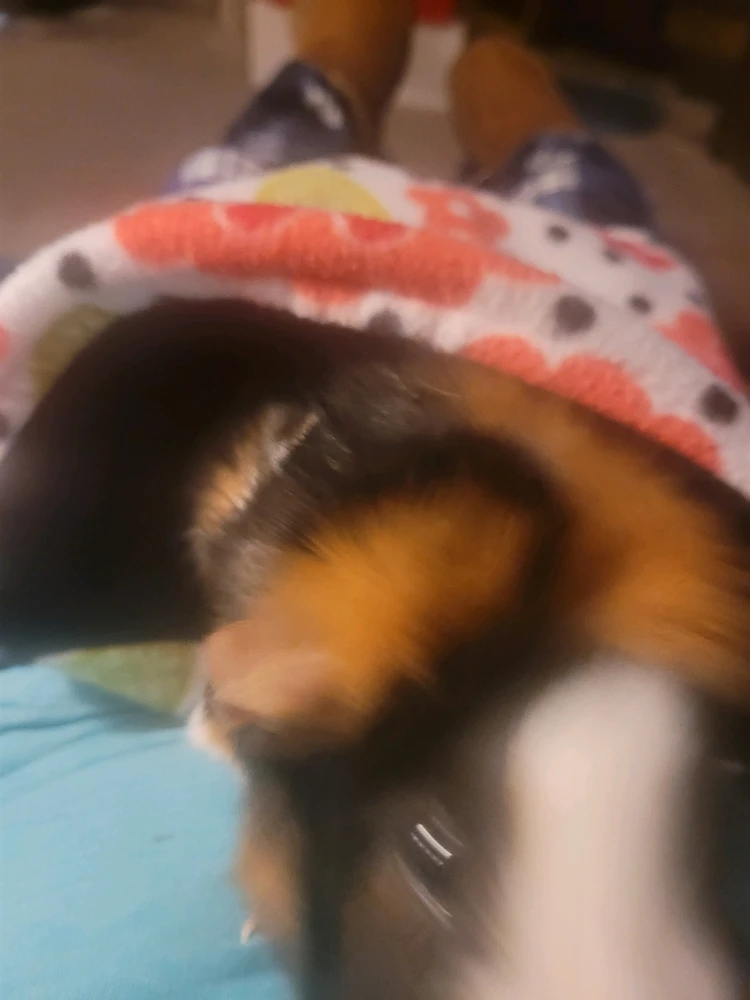 Image uploaded by Dan