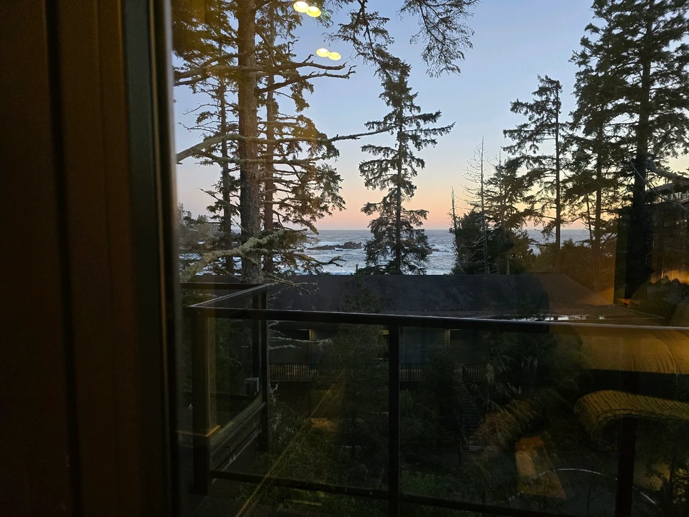 Image uploaded by Bryan