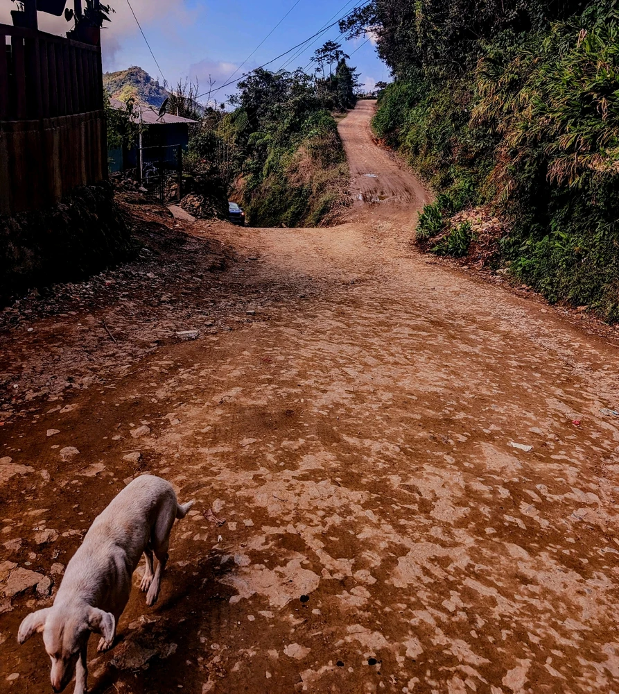 Image uploaded by Jammal