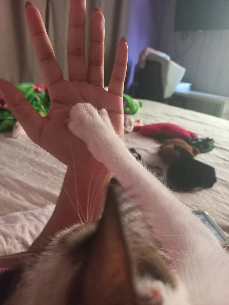 GIF enviado por Giuliana Sousa