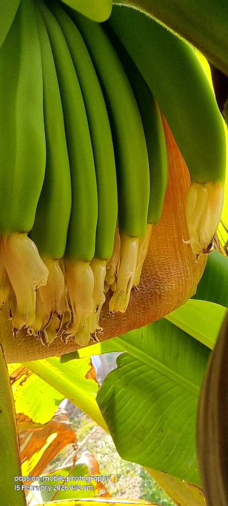 GIF uploaded by Chaitanya sah