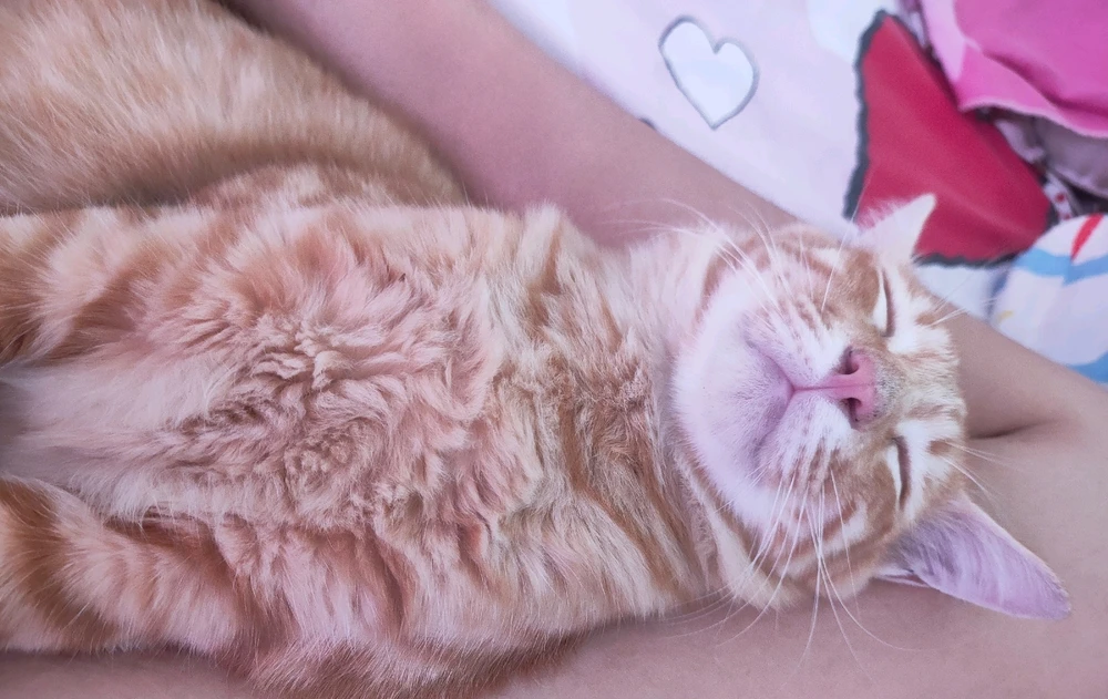 GIF uploaded by Jellyfish