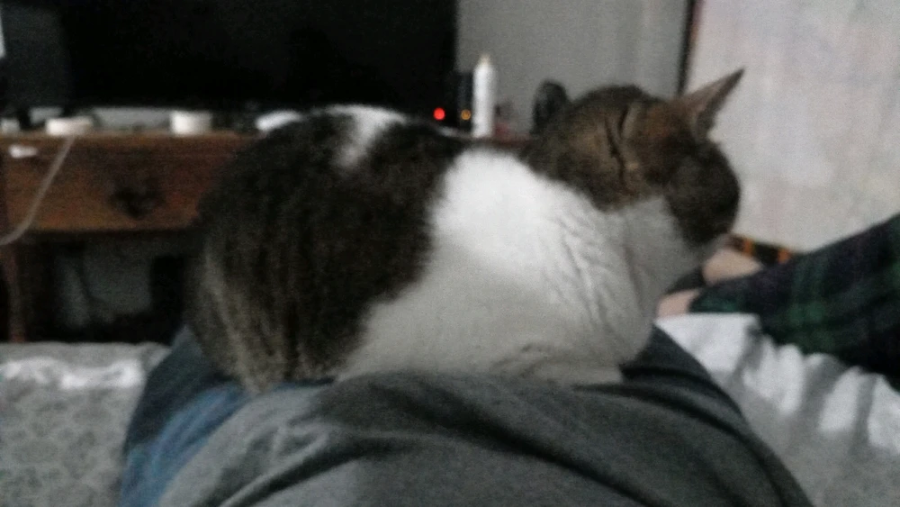 GIF uploaded by Alexey