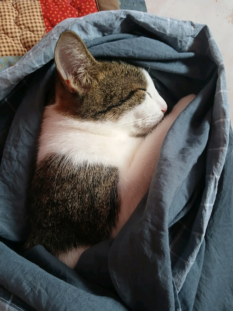 GIF uploaded by Dragoness