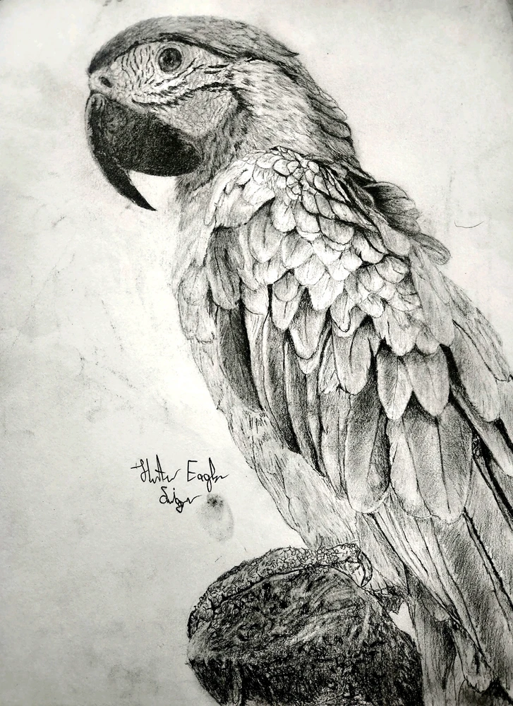 Image uploaded by Hunter