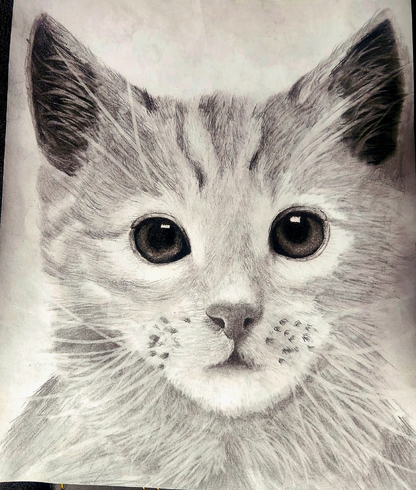 Image uploaded by Hunter