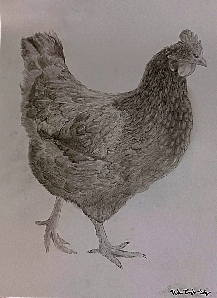 Image uploaded by Hunter