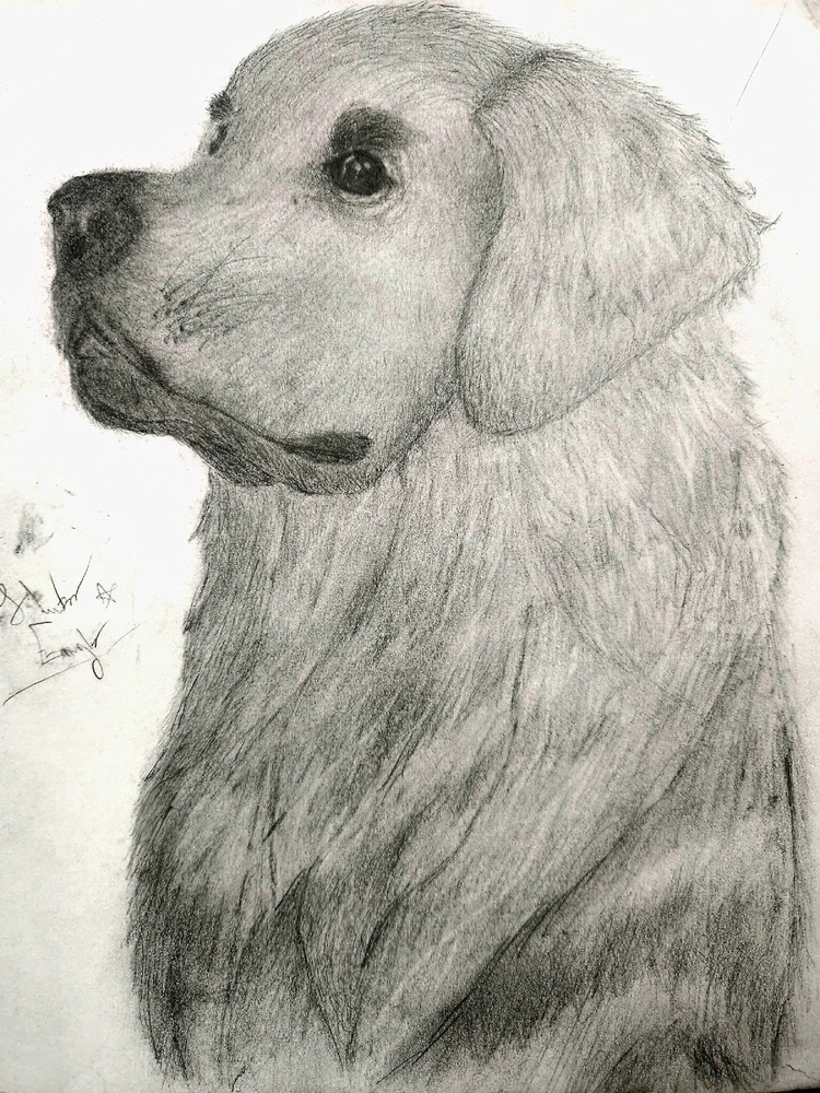 Image uploaded by Hunter