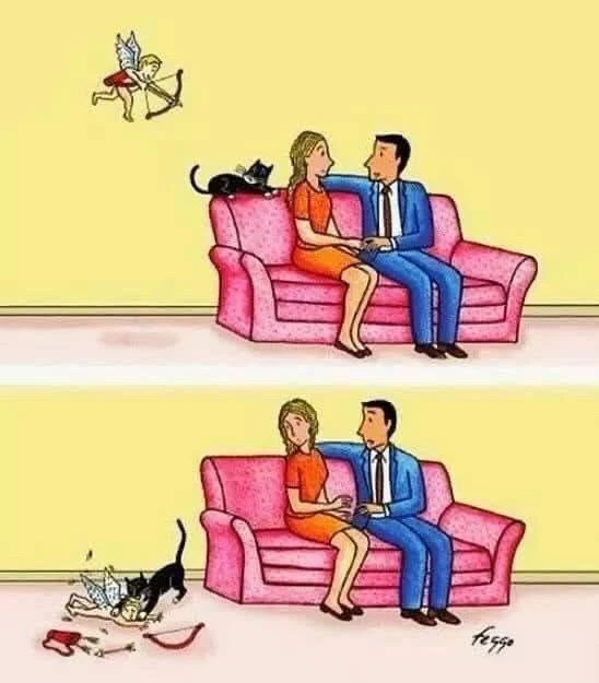 GIF uploaded by Matt